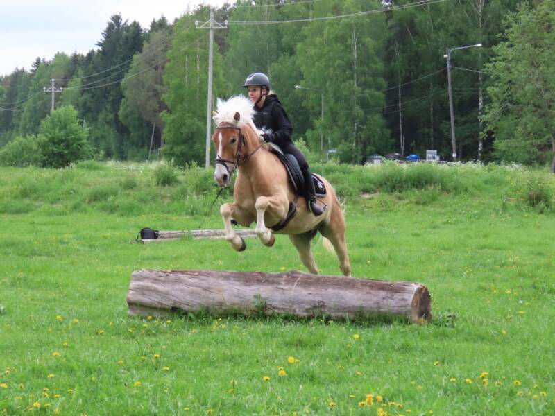 Ratsastaja hyppää puunrungon yli.