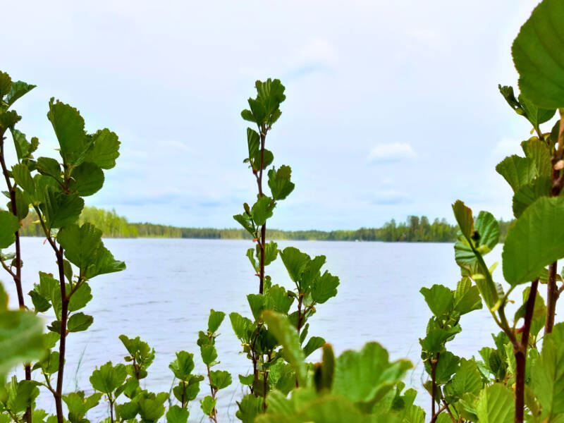 Järvimaisemaa.
