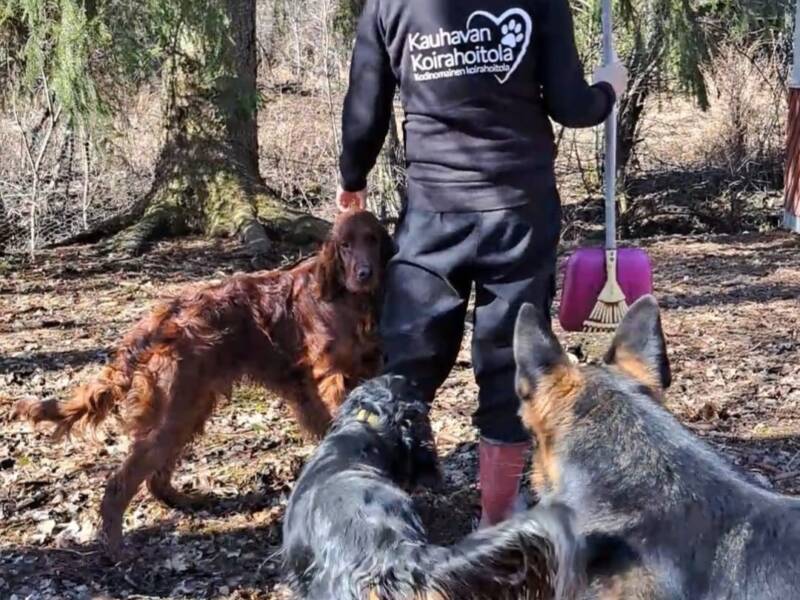 Jätösten keräilyä.