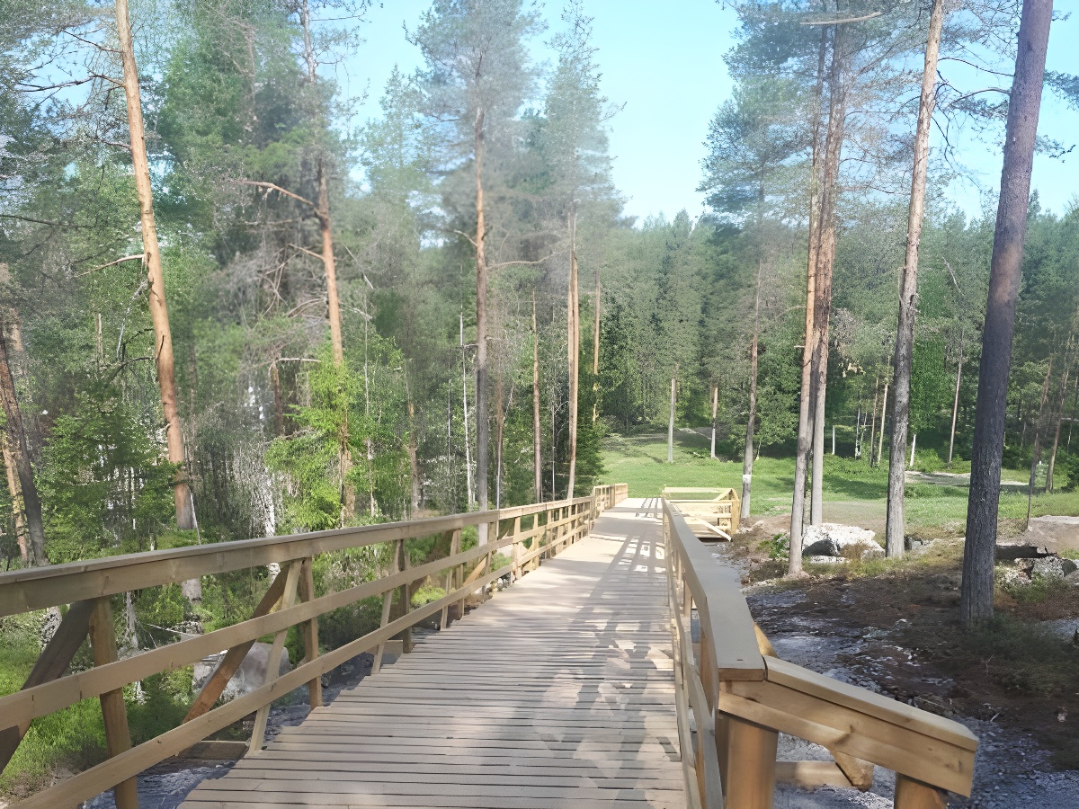 Kitkan kuntoportaat metsän varjossa.
