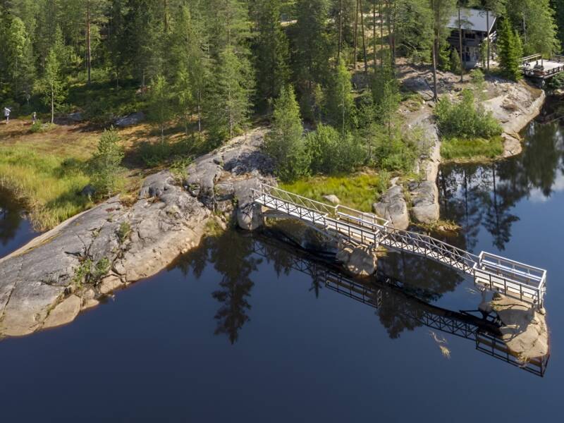 Kaunis kesäinen metsärannan maisema.