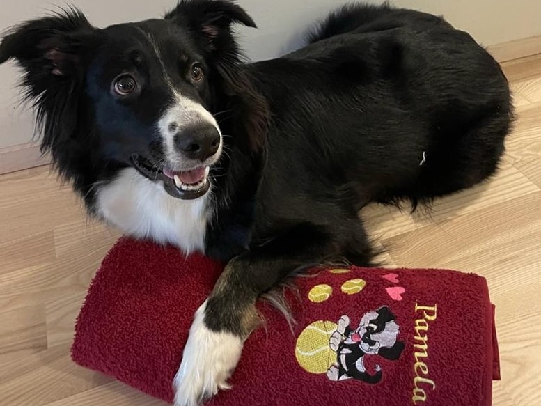 Lemmikille oma pyyhe, omalla nimellä, totta kai.