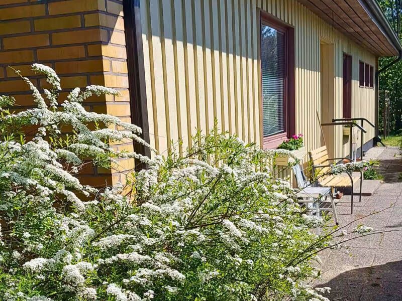 The greenery of the front yard.