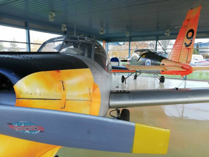 Safir ja takana Vinka.