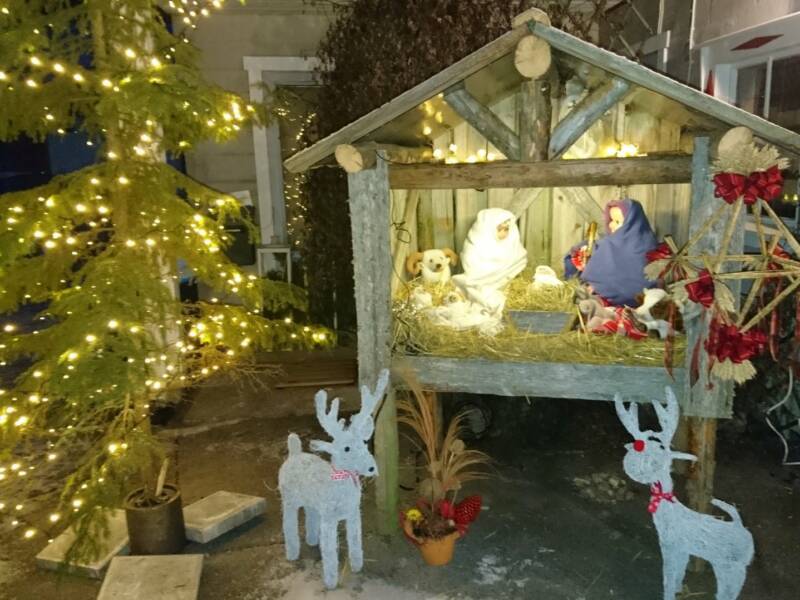 Jouluseimi koriste joulun aikaan.