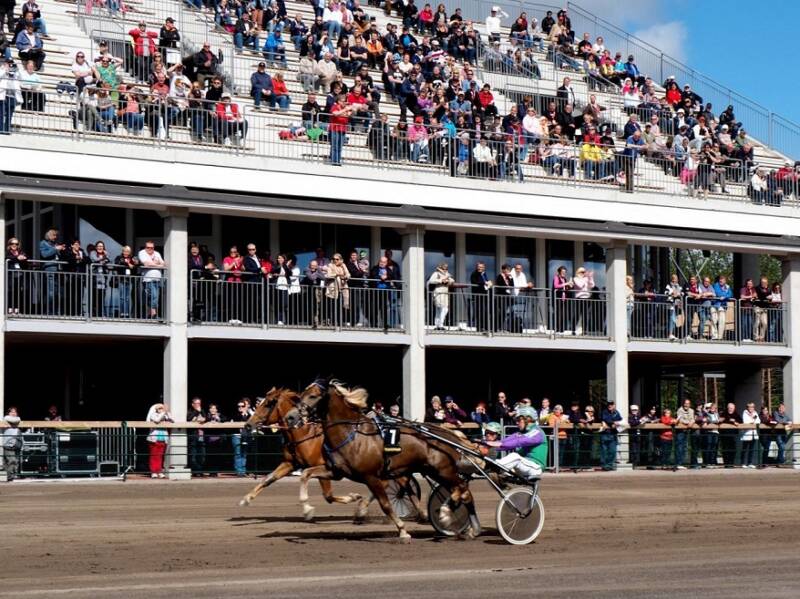 Katsomossa riittää tilaa.