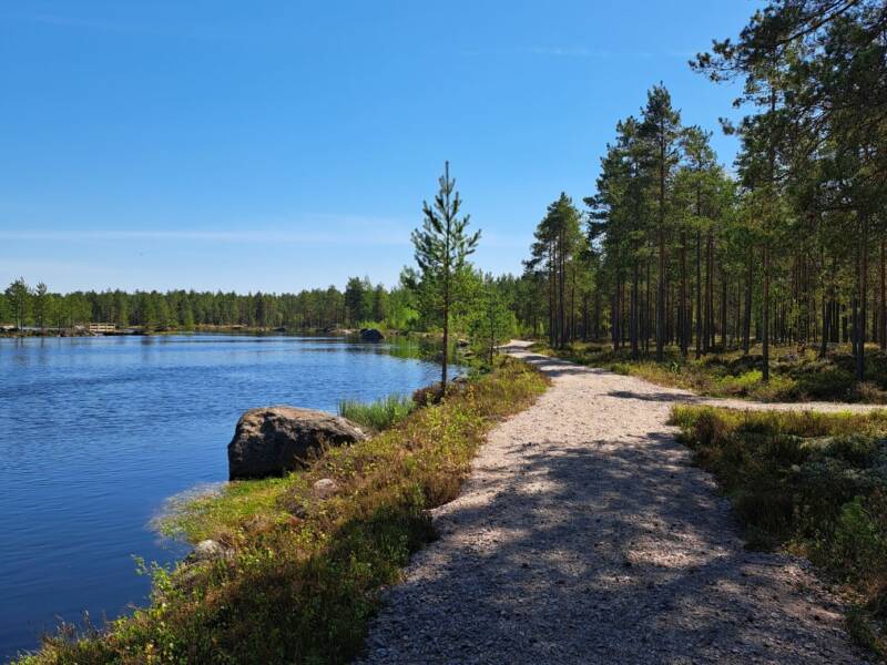 Järven ympäristöä.