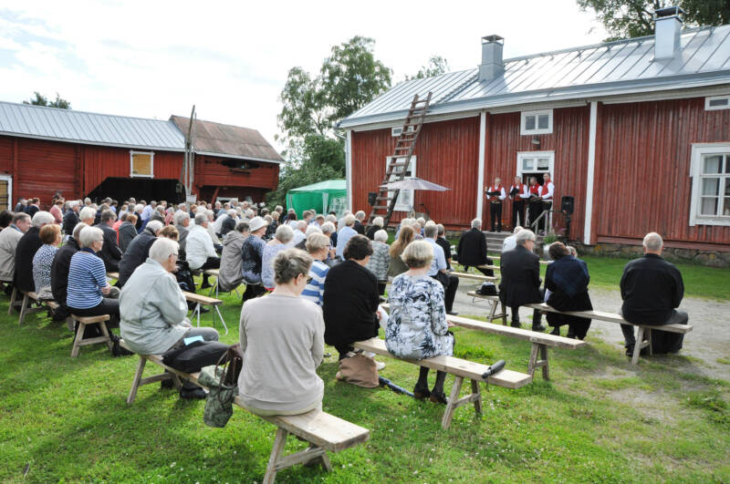 Hyvät häjyt esiintymässä.